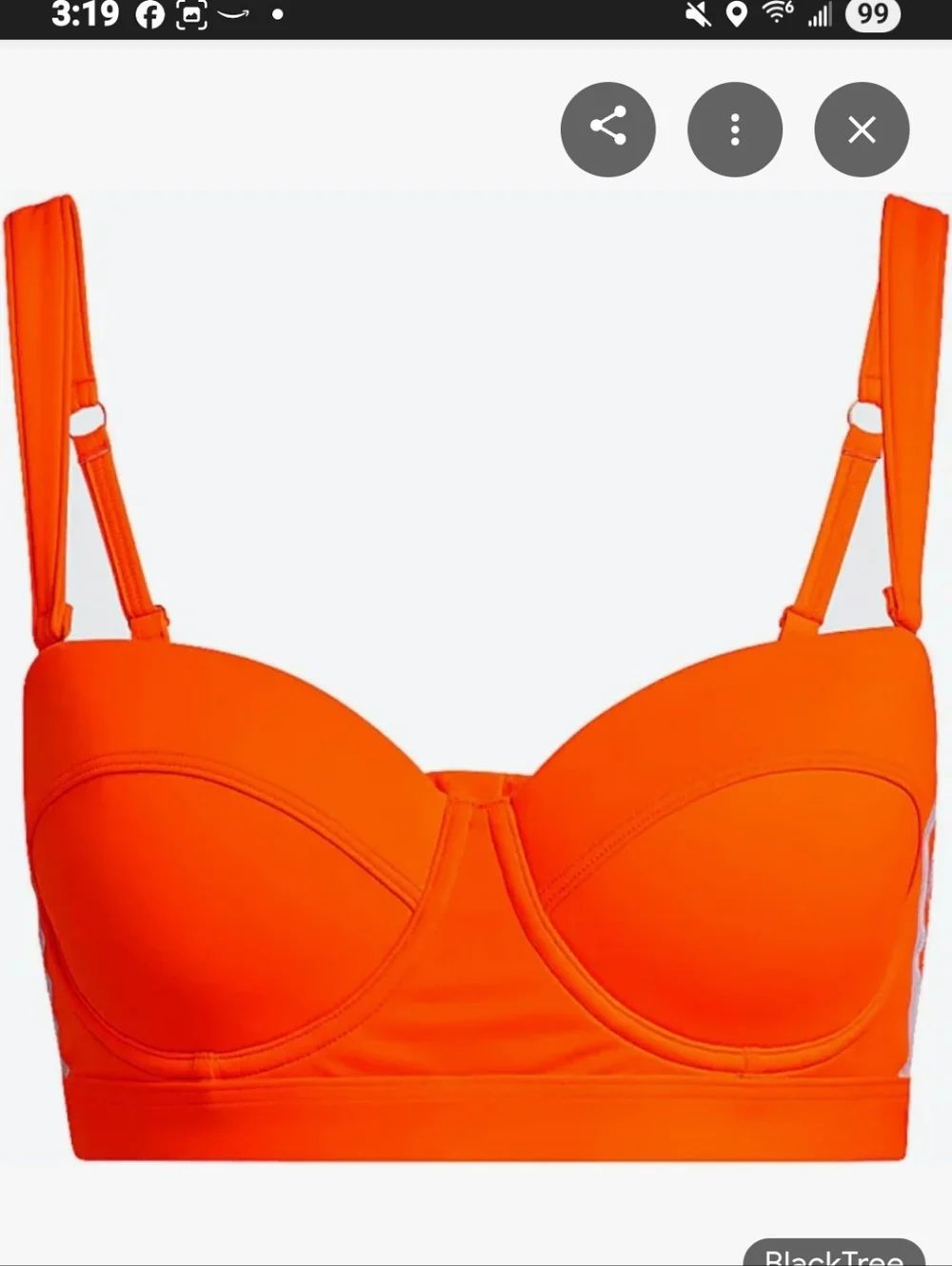 IVY PARK vibrant neon